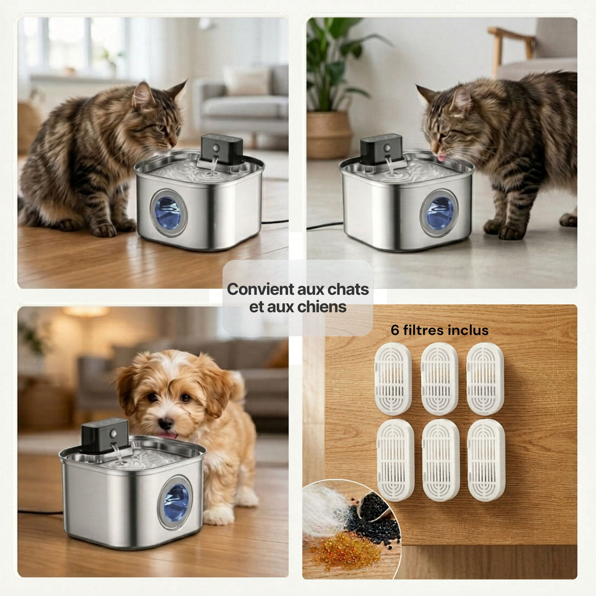 Fontaine à eau en inox pour chats et chiens, livrée avec 6 filtres