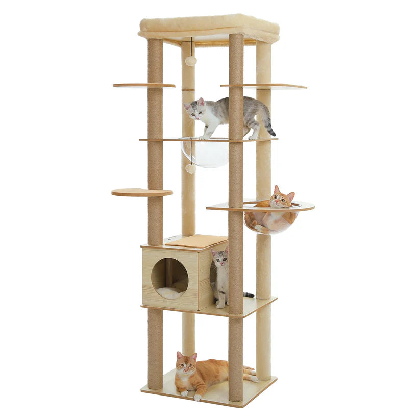 arbre à chat design 180 cm fond blanc quatre chats niche bois hamac transparent plateforme ronde griffoir sisal multi niveaux