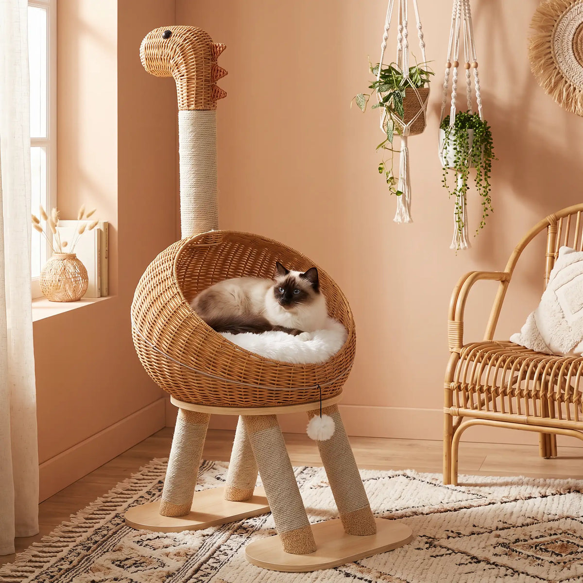 Chat Sacré de Birmanie couché dans le nid en rotin d'un arbre à chat en forme de dinosaure, dans un salon bohème