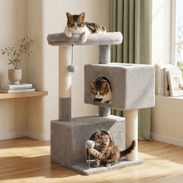arbre à chat luxe gris anthracite avec niche et panier d'observation, idéal pour décoration d'intérieur moderne.