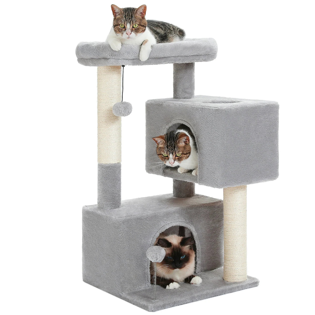 Petit arbre à chat 80 cm pour appartement, 2 niches et poteaux en sisal, Pitchou