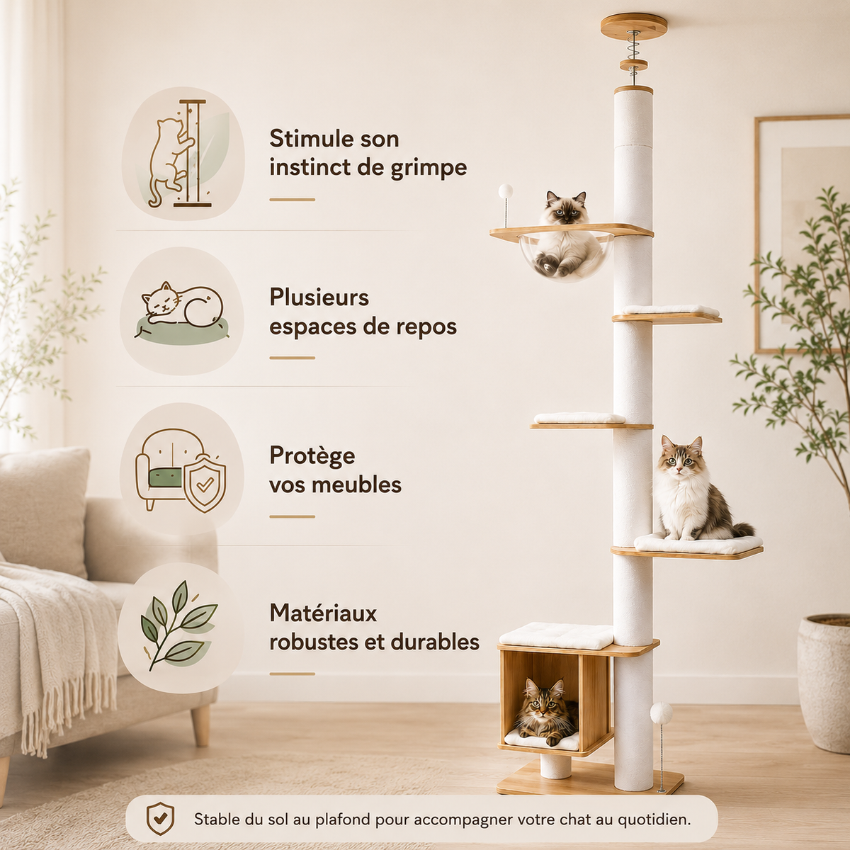 Arbre à chat du sol au plafond en bois installé dans un salon, avec poteaux griffoirs en sisal, plateformes rembourrées, bulle transparente et niche de repos, utilisé par un Ragdoll dans la bulle, un chat gris et blanc sur une plateforme et un chaton Maine Coon dans la cabane.