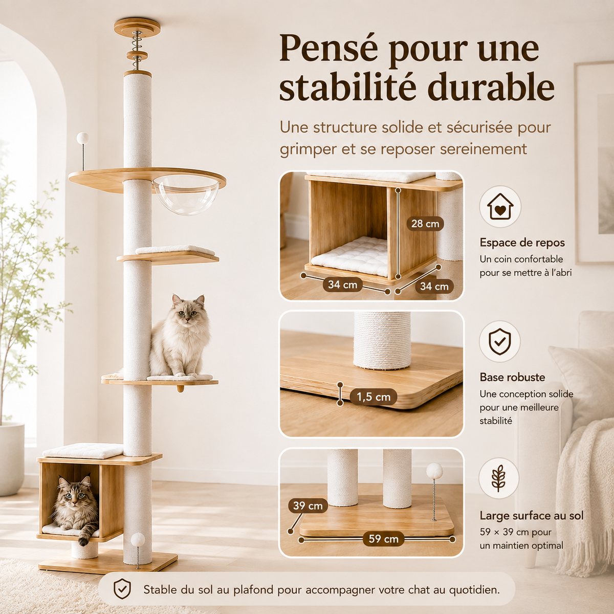 Arbre à chat du sol au plafond en bois avec fixation réglable au plafond, plateformes, poteaux griffoirs, niche de repos de 34 × 34 × 28 cm et base de 59 × 39 cm, avec un Sacré de Birmanie sur une plateforme et un chaton Maine Coon installé dans la cabane.
