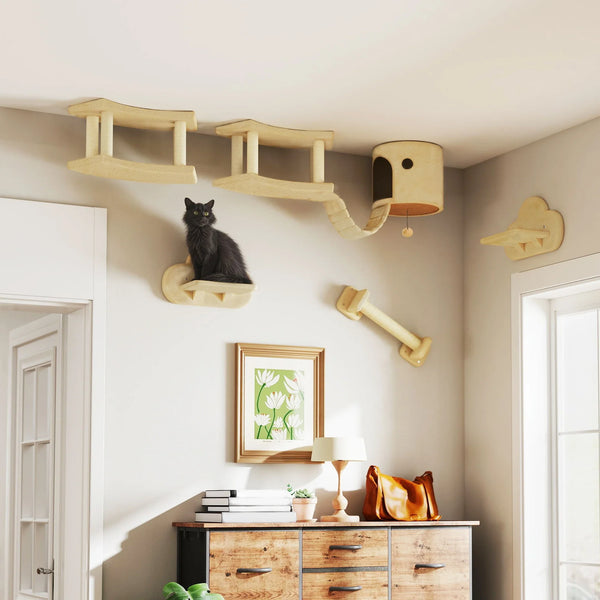 arbre à chat mural fixation murale beige, passerelle griffoir sisal, cabane suspendue pompon, étagère nuage, étapes murales bois, chat noir Maine Coon appartement