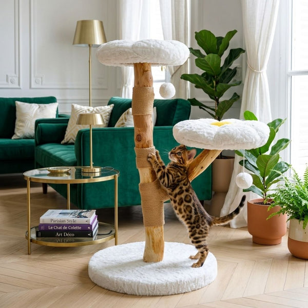 Arbre à chat fleur marguerite blanc bois naturel 92cm, 2 plateformes fleur peluche blanche centre jaune, griffoir jute, pompons blancs suspendus, chat Bengal salon parisien