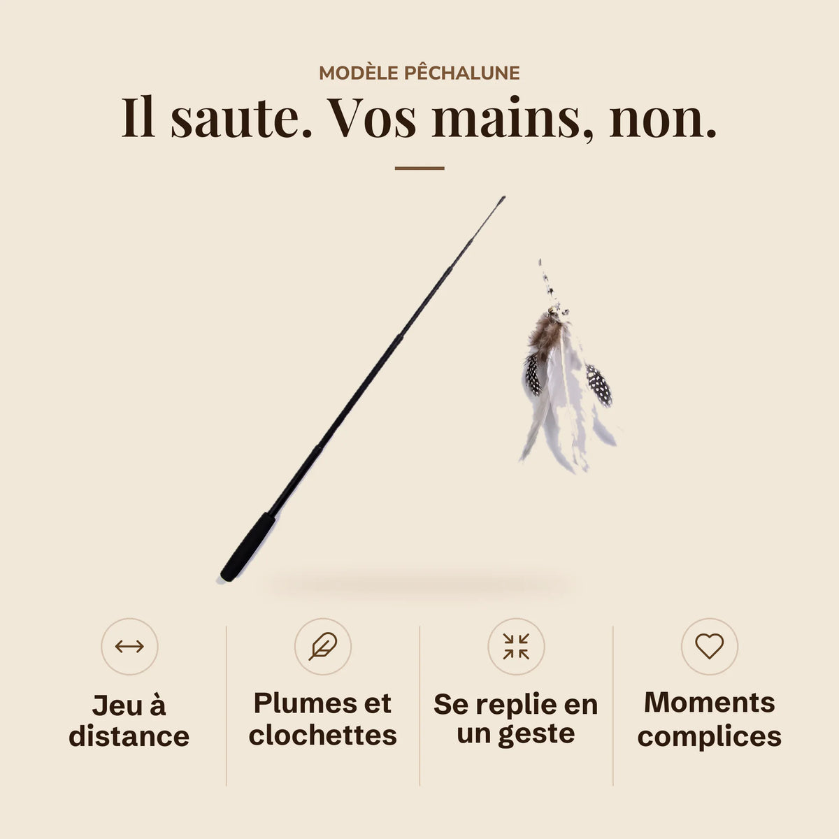 Les avantages de la canne à pêche pour chat : jeu à distance, plumes et clochettes, se replie en un geste, moments complices