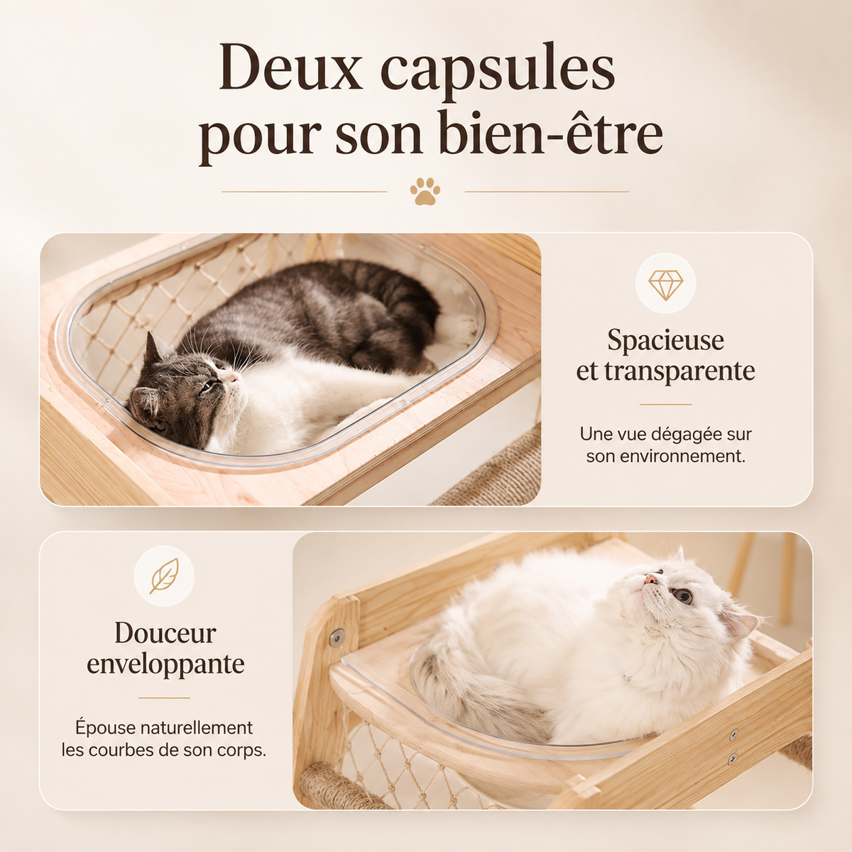 Deux espaces de couchage transparents intégrés à une structure en bois naturel, avec chats installés confortablement dans les capsules surélevées conçues pour observer leur environnement et se détendre
