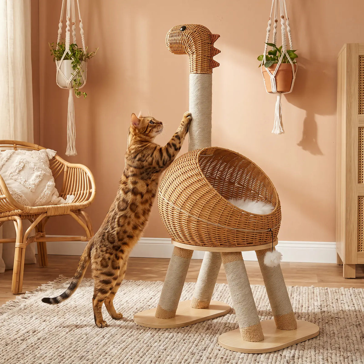 Chat Bengal debout qui fait ses griffes sur le long cou en sisal de l'arbre dinosaure