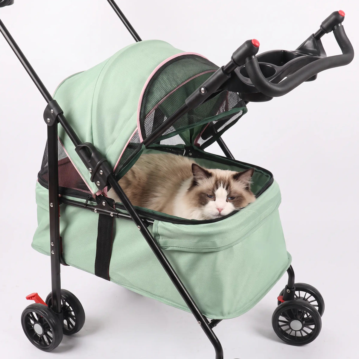 Chat Ragdoll qui somnole à l'ombre de la capote, dans la nacelle vert menthe