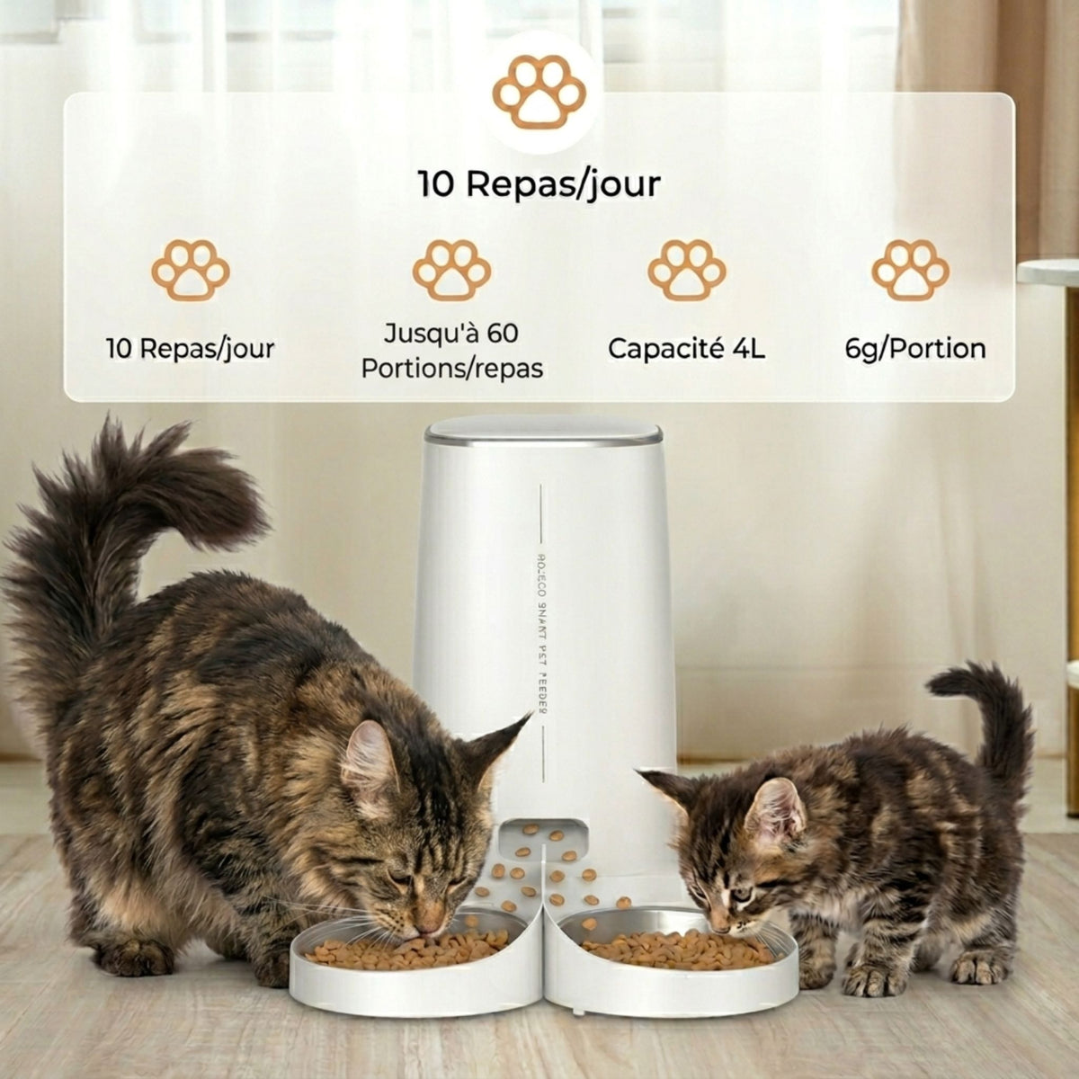 distributeur automatique de croquettes pour 2 chats 10 repas par jour capacité 4L jusqu'à 60 portions par repas avec 2 chats persans