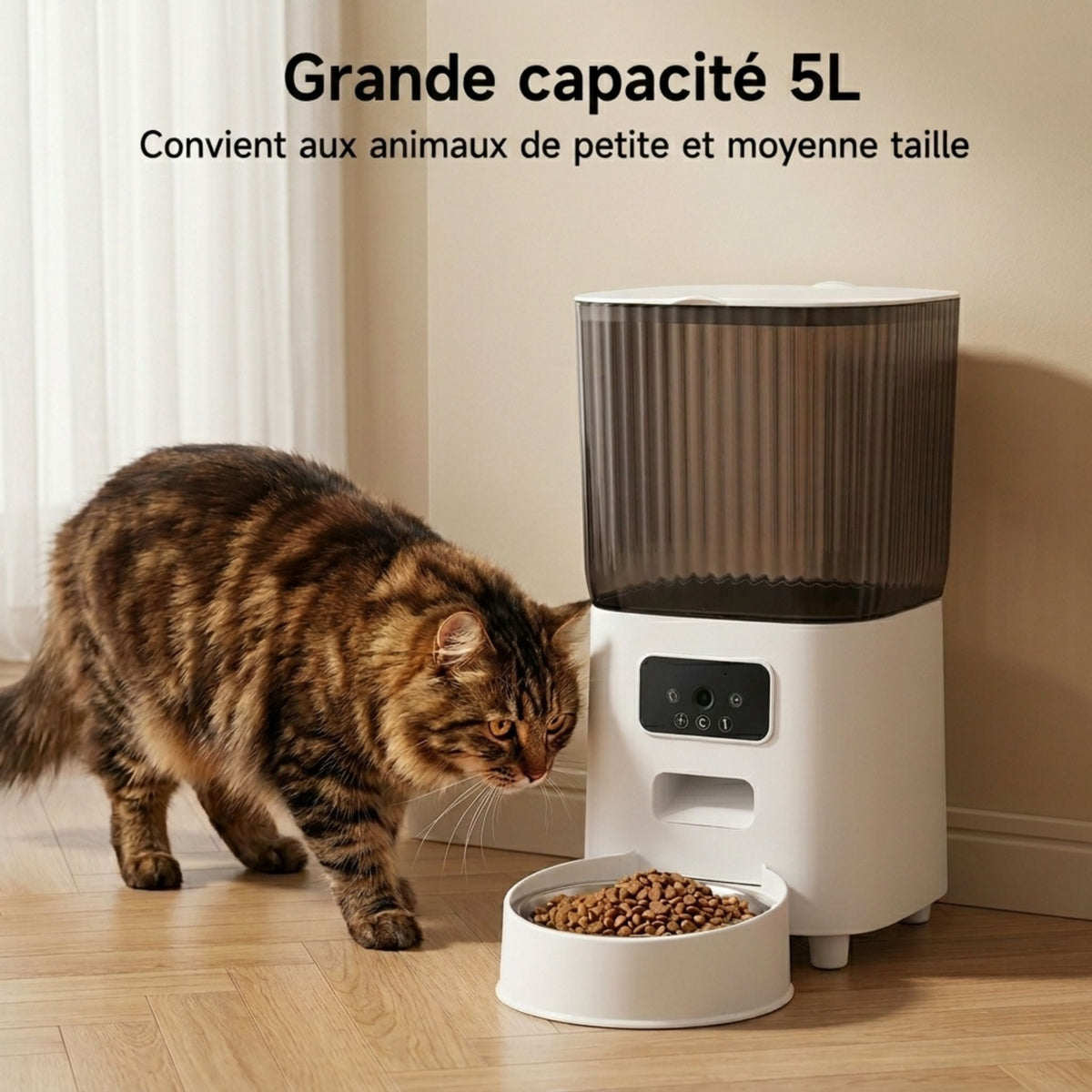 distributeur automatique de croquettes pour chat grande capacité 5L,
chat tigré marron mangeant dans sa gamelle, convient aux animaux
de petite et moyenne taille, panneau caméra connecté, intérieur moderne