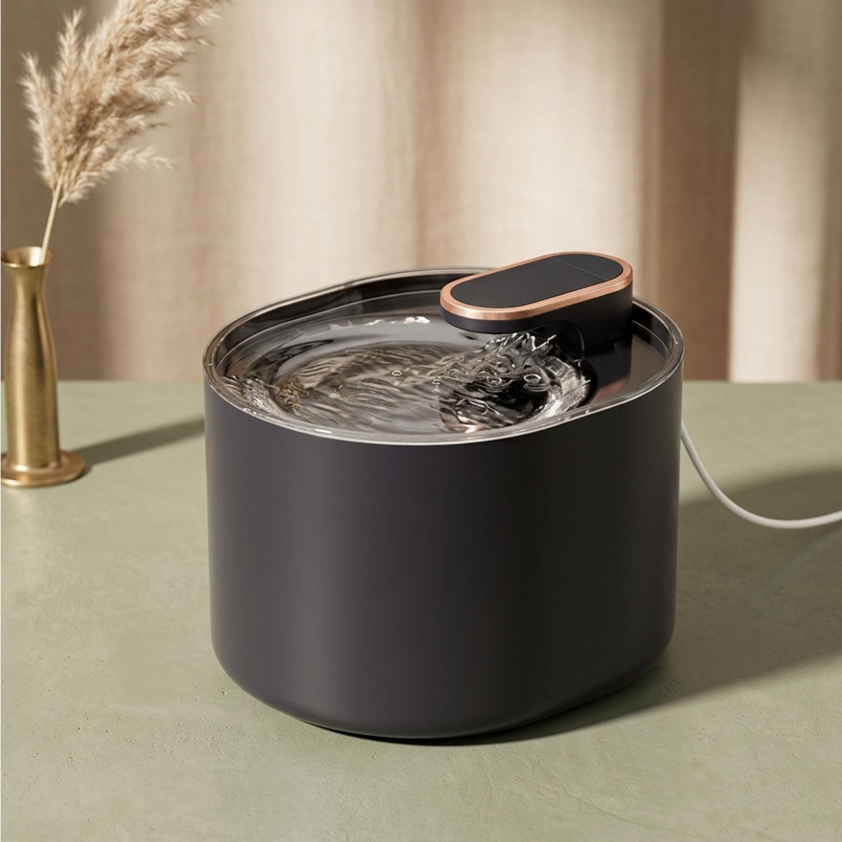 fontaine à eau pour chat 3L noir mat, distributeur eau chat contour doré cuivré, fond vert sauge pampas, catedo