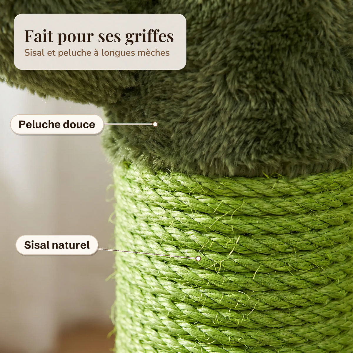 Gros plan sur le sisal vert du poteau et la peluche à longues mèches de la tête du cactus