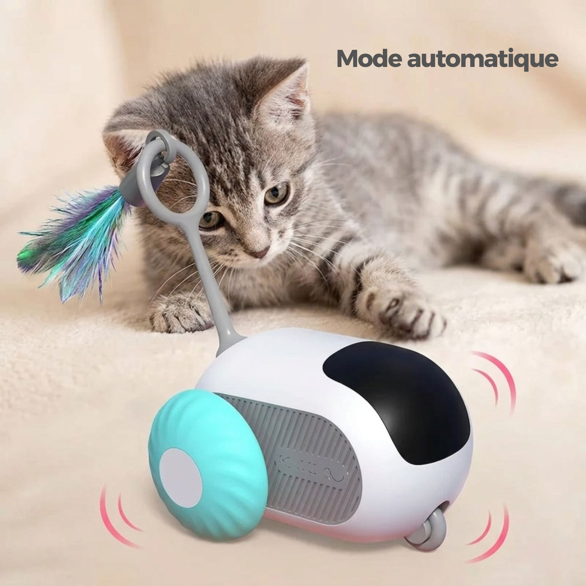 Chaton tigré gris en position de chasse face à une voiture téléguidée interactive en mode automatique avec vibrations