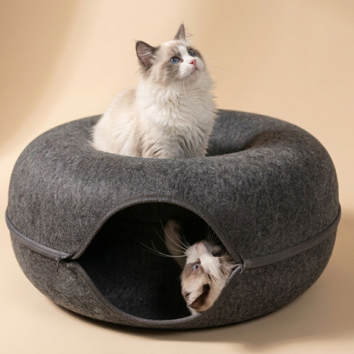 Lit pour chat tunnel donut en feutre gris anthracite avec fermeture éclair, illustré avec deux chatons Ragdoll, vendu à la pièce