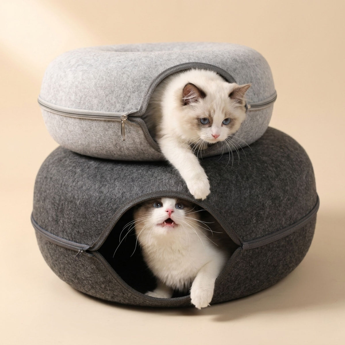 Lit pour chat tunnel donut empilable en feutre gris clair et anthracite avec fermeture éclair, illustré avec deux chatons Ragdoll, vendu à la pièce