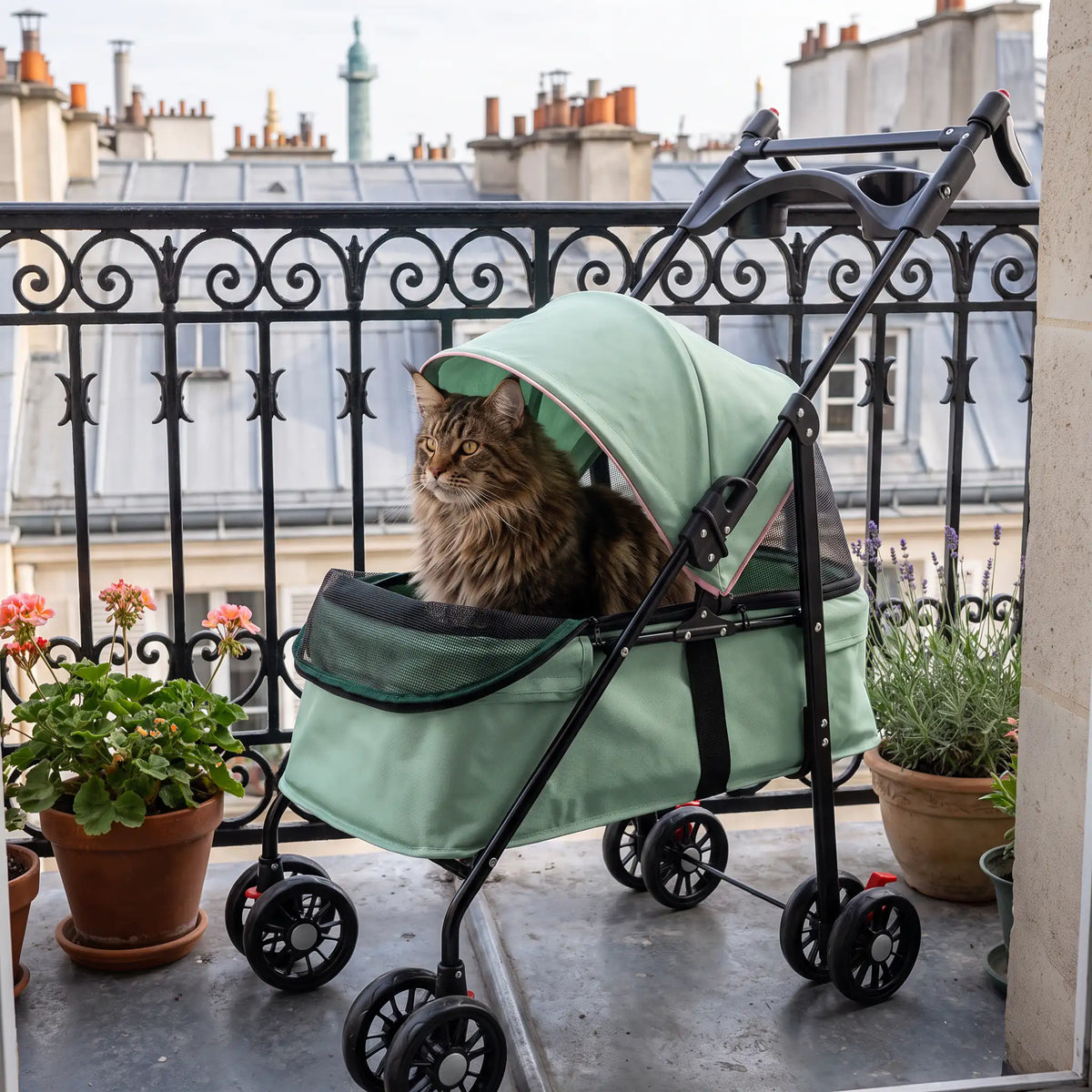 Chat Maine Coon assis dans une poussette vert menthe à capote, sur un balcon parisien