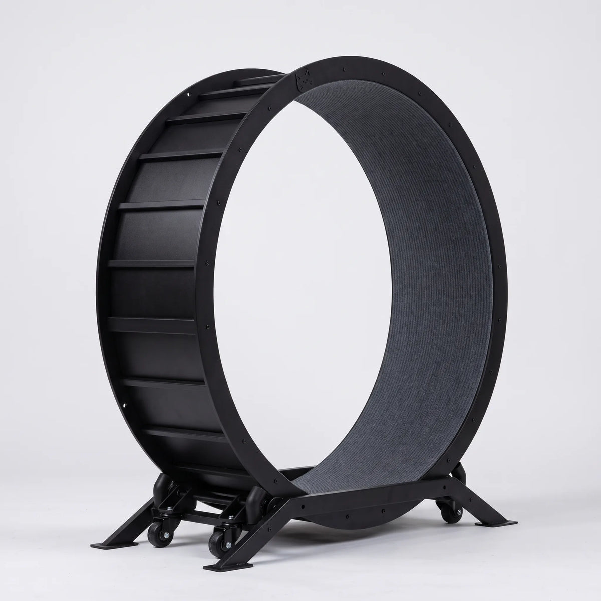 Roue d'exercice pour chat vue de trois quarts, lattes noires du flanc extérieur