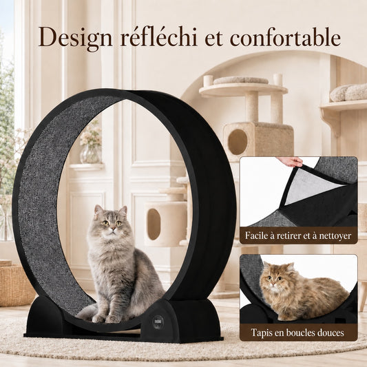 Chat persan gris assis dans une roue d'exercice pour chat noire, tapis en boucles douces amovible et facile à nettoyer, dans un salon élégant aux tons crème avec arbre à chat en arrière-plan.