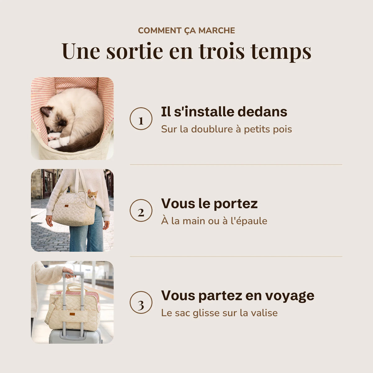 Comment ça marche : votre chaton s'installe dans le sac, vous le portez à la main ou à l'épaule, puis le glissez sur la valise