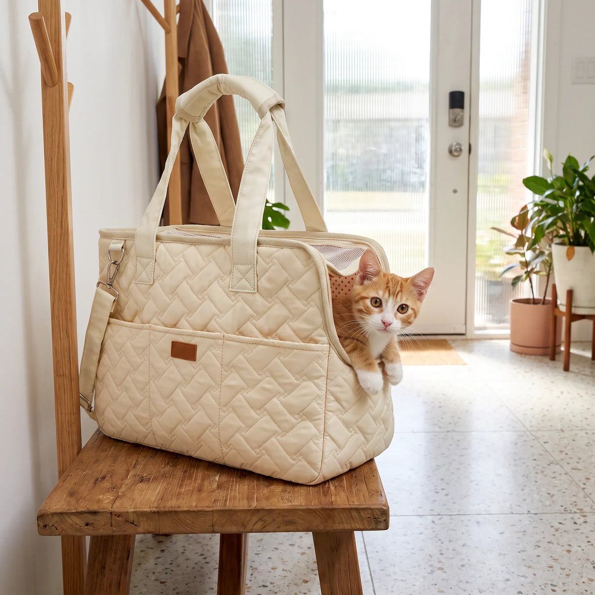 Chaton roux et blanc qui passe la tête par l'ouverture en filet d'un sac de transport crème matelassé, posé sur un banc d'entrée