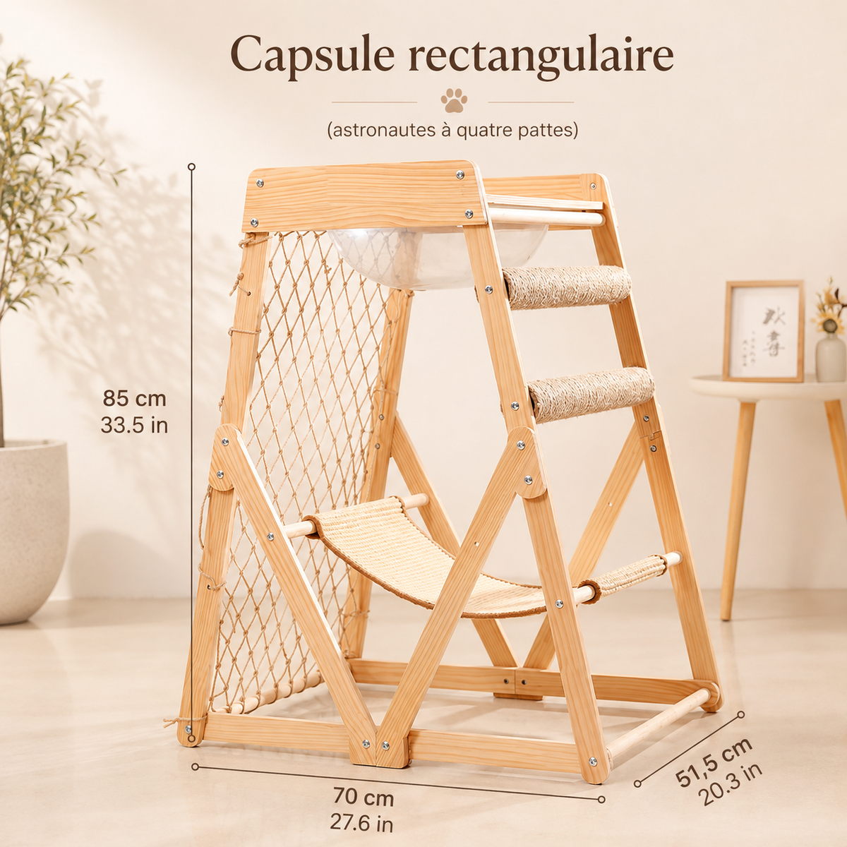 Structure d’escalade pour chat en bois naturel avec capsule rectangulaire transparente, hamac suspendu, filet d’escalade et poteaux griffoirs en sisal, dimensions 85 × 70 × 51,5 cm, présentée dans un intérieur moderne clair