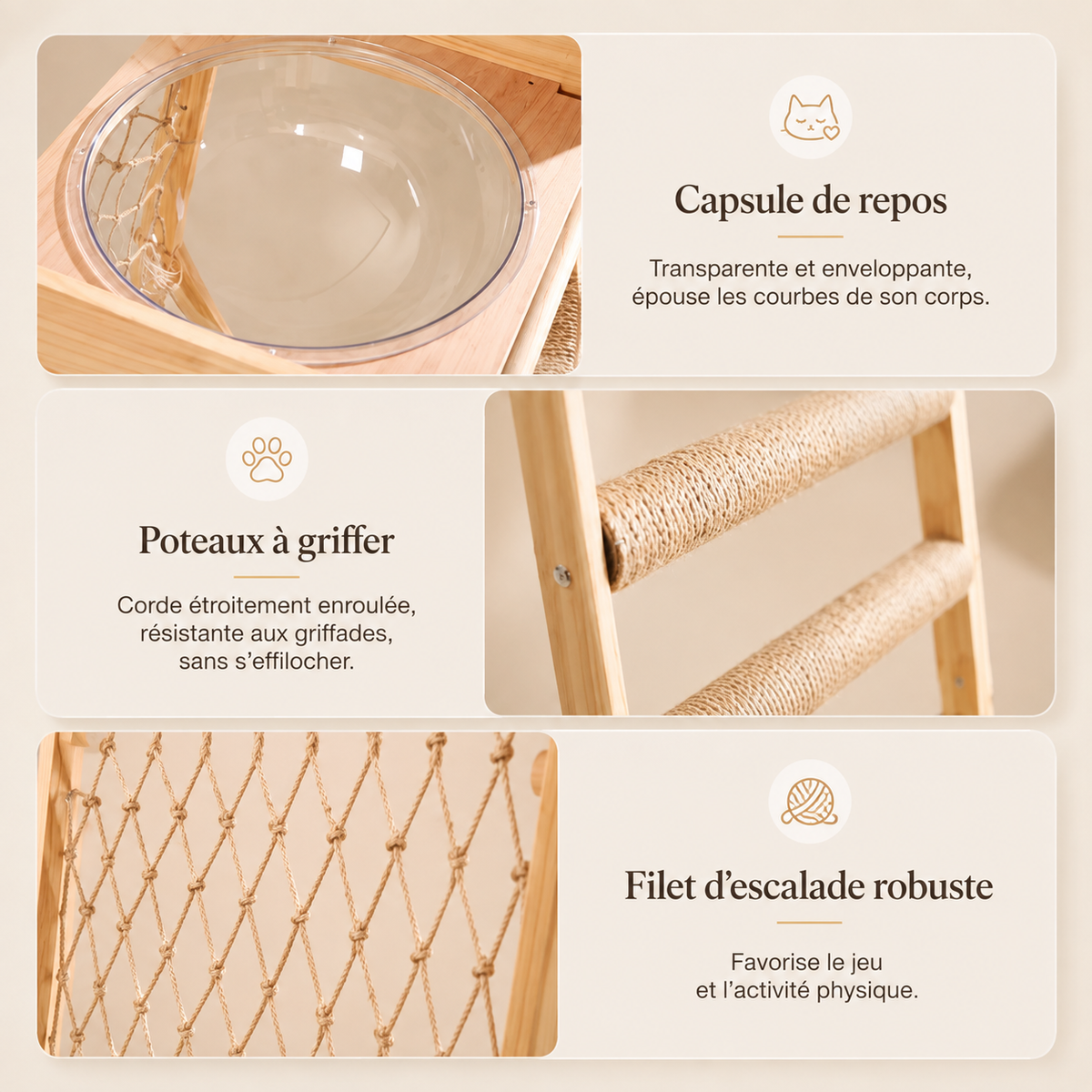 Détails d’une structure d’escalade pour chat en bois naturel montrant la capsule de repos transparente, les poteaux à griffer en corde tressée et le filet robuste conçu pour grimper, jouer et se dépenser