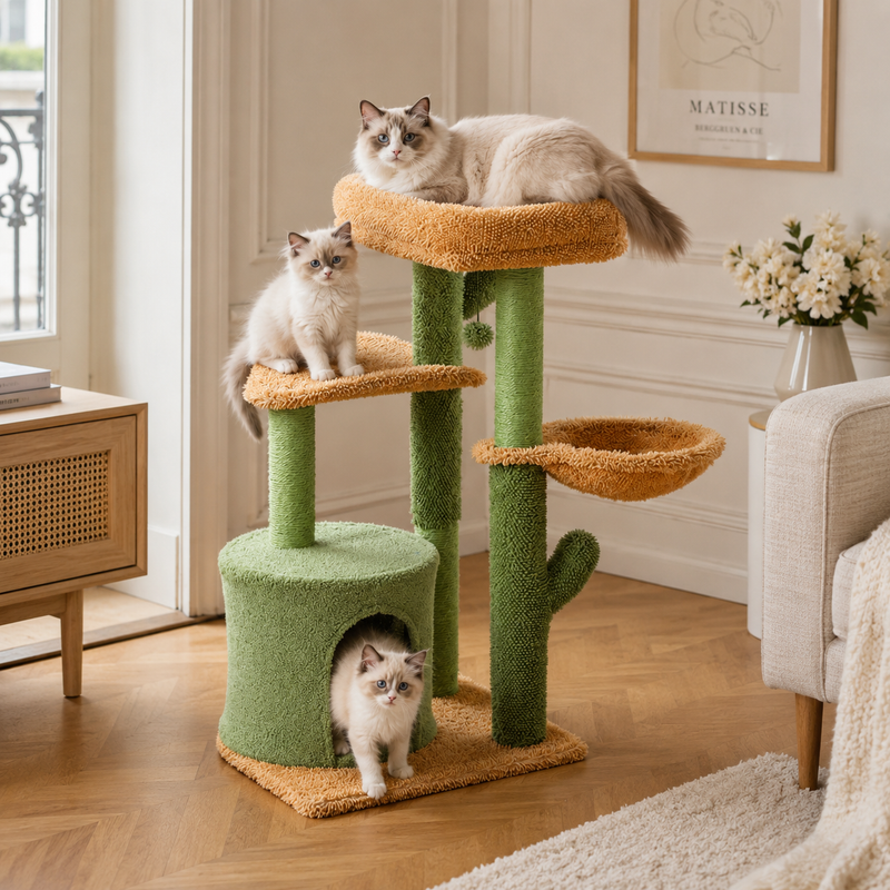 Arbre à chat cactus avec griffoirs en sisal, plateformes d'observation et niche confortable pour chatons et chats d'intérieur Catedo