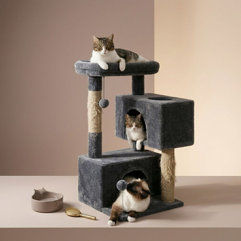 Arbre a chat petit