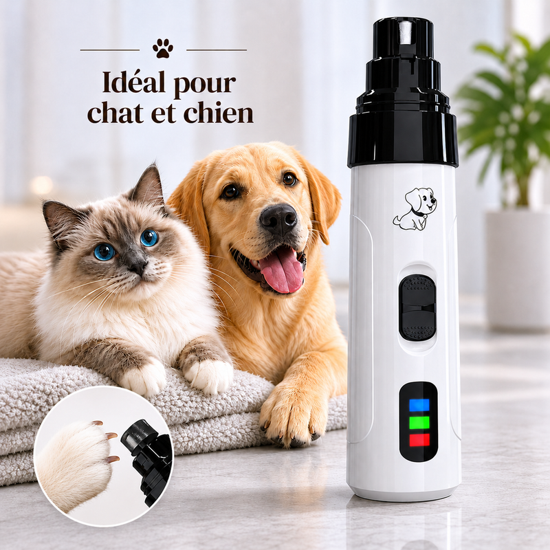 Coupe griffe chat