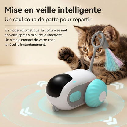 Jouet Interactif pour Chat - Voiture Téléguidée