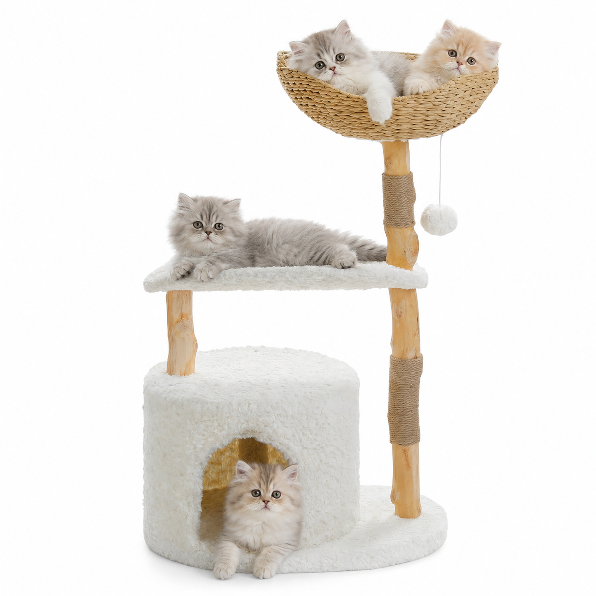 Arbre à chat blanc bouclette avec niche ronde, plateforme intermédiaire et corbeille tressée, griffoir en jute et jouet pendentif, avec trois chatons persans gris sur fond blanc