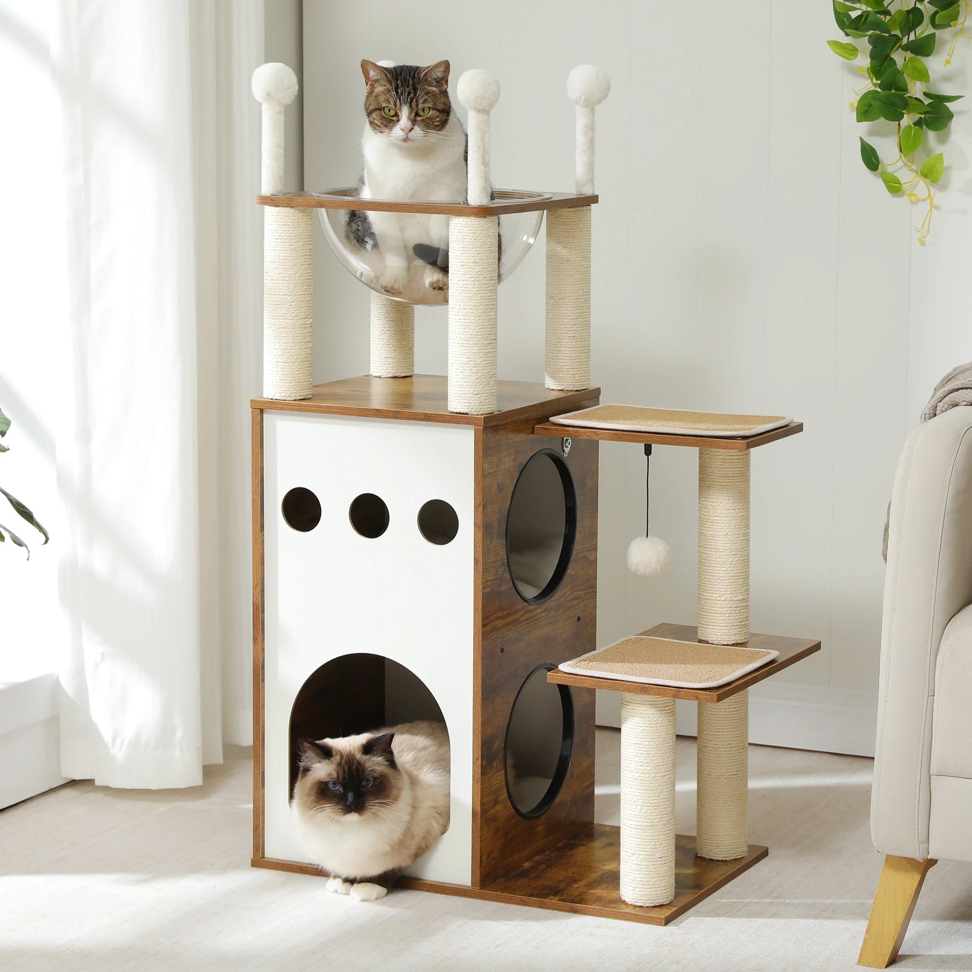 Arbre à chat design en bois foncé et blanc avec un chat tigré et blac dans le hamac transparent et un chat siamois sortant de la niche.