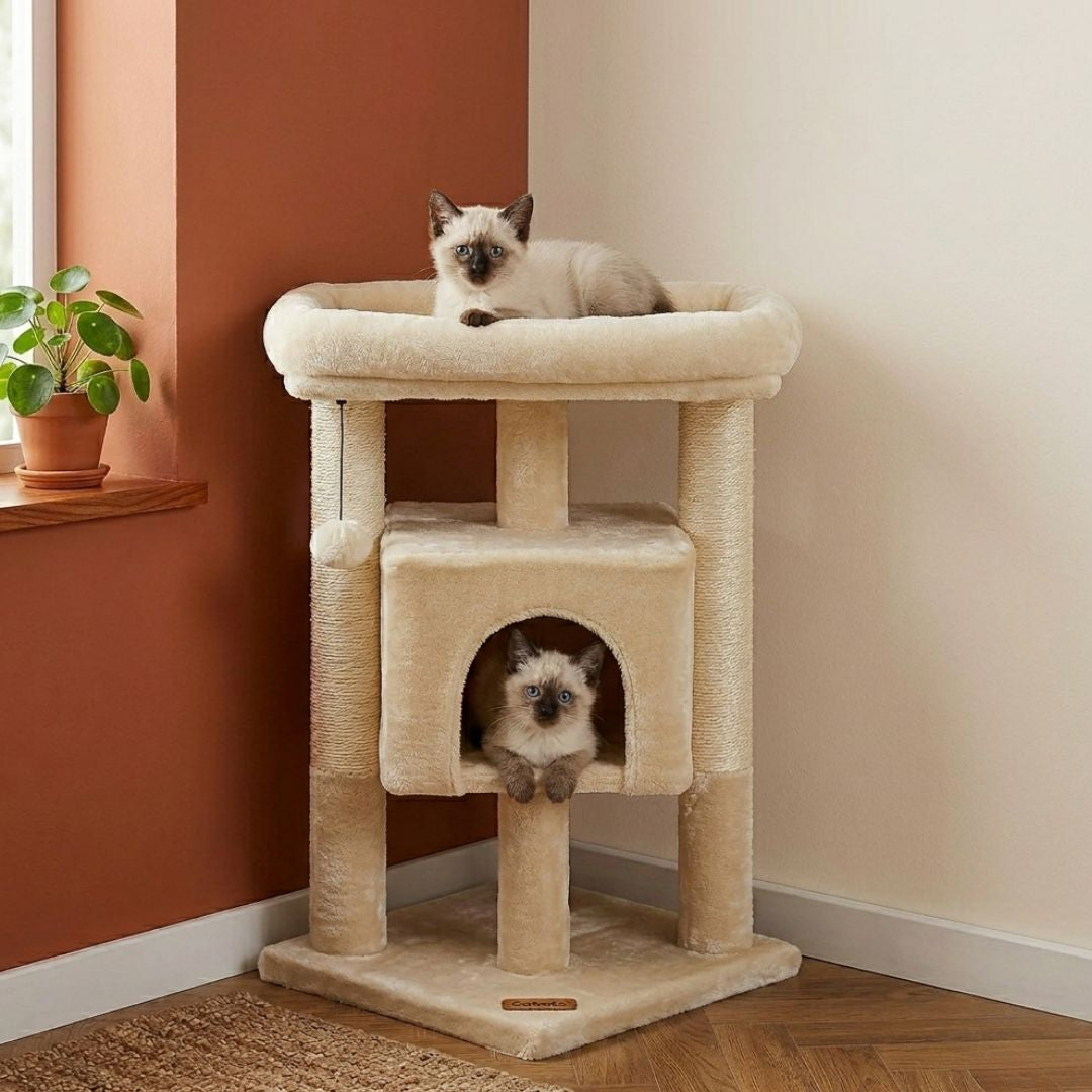 petit arbre à chat d'angle beige moderne, 72 cm, positionné dans un coin de salon chaleureux, avec un chaton Siamois couché en haut et un autre dans la niche.