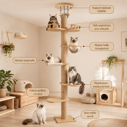Arbre à chat design scandinave avec hamac bulle transparent, hamac suspendu, plateformes en bois, nids avec rebords, poteau griffoir en sisal et support plafond réglable.