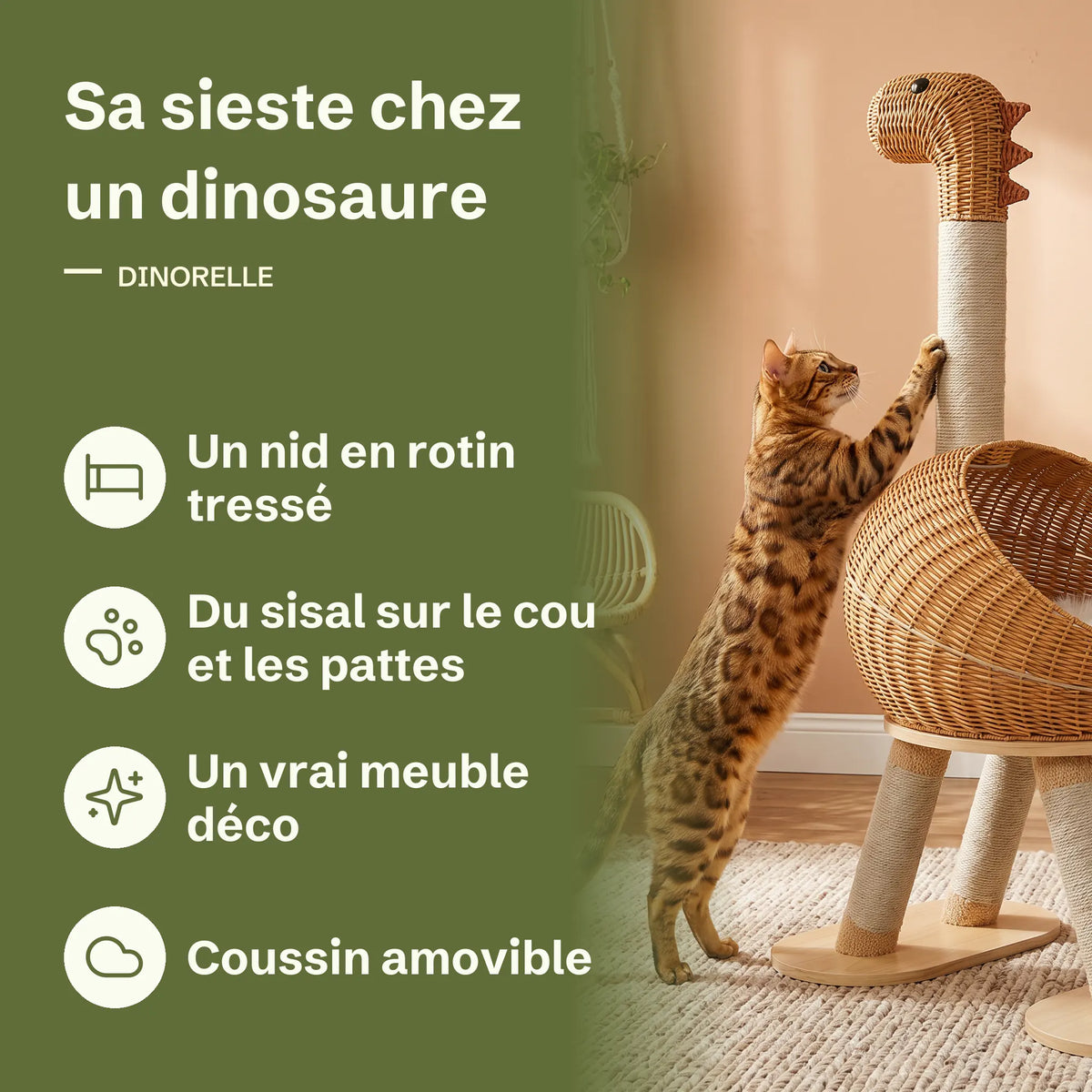 Les avantages de l'arbre à chat dinosaure : nid en rotin tressé, sisal sur le cou et les pattes, meuble déco, coussin amovible