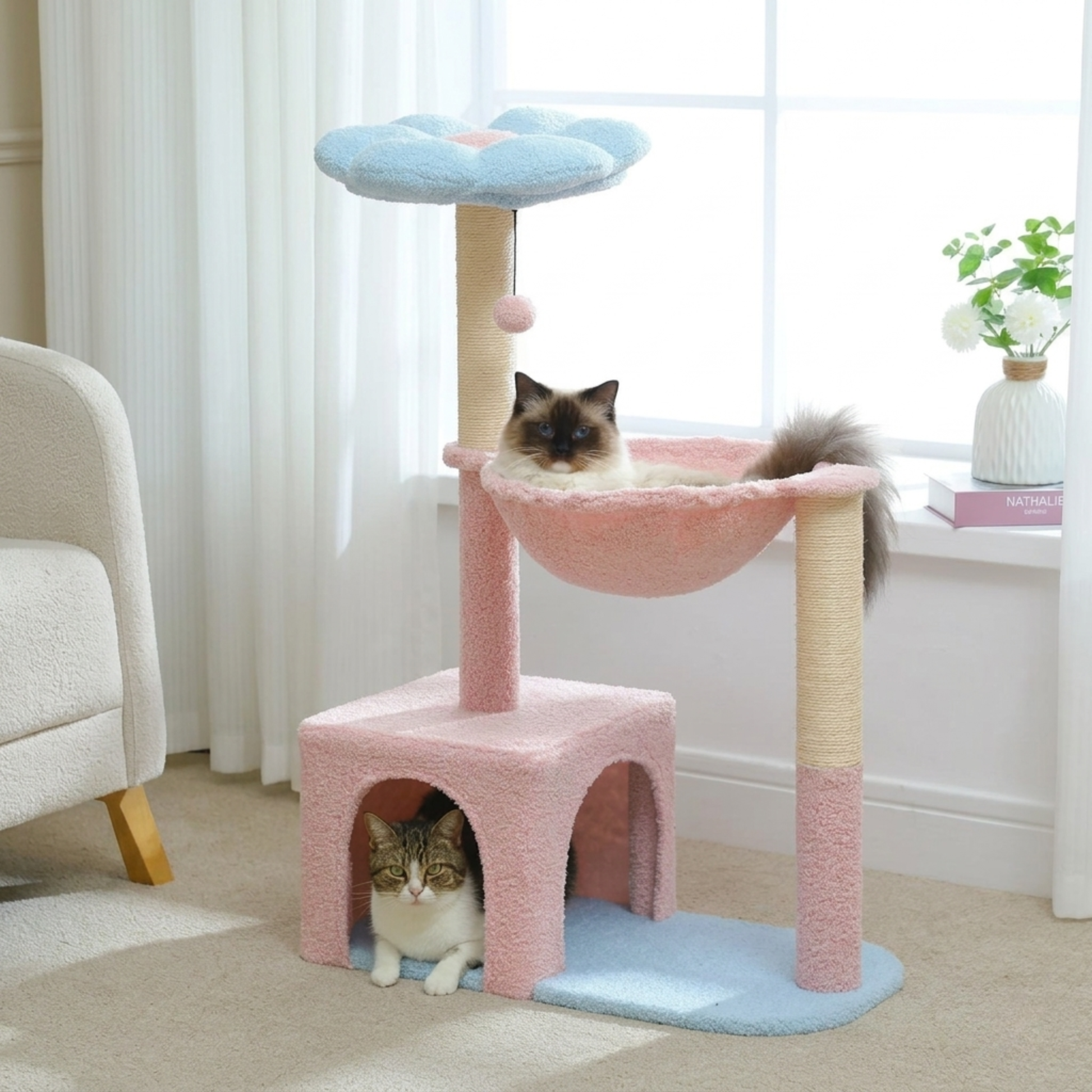 arbre à chat fleur rose et bleu 93cm avec ragdoll dans le hamac et tabby dans la cabane