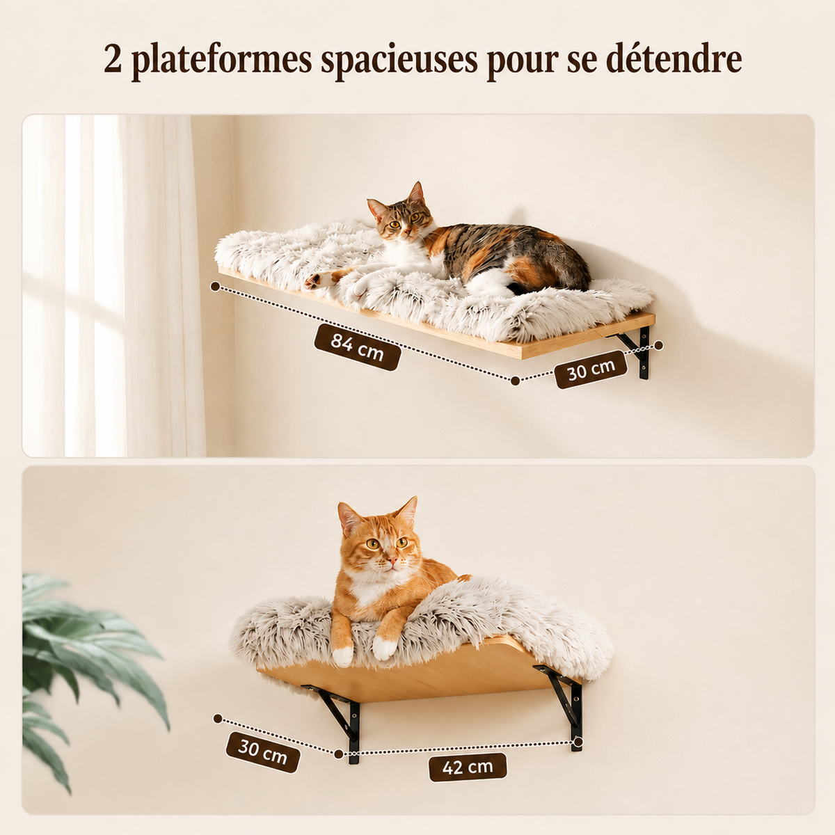 Deux plateformes spacieuses de l’arbre à chat mural 5-en-1 en bois, avec surfaces moelleuses de 84 × 30 cm et 42 × 30 cm, utilisées par deux chats pour se reposer en hauteur