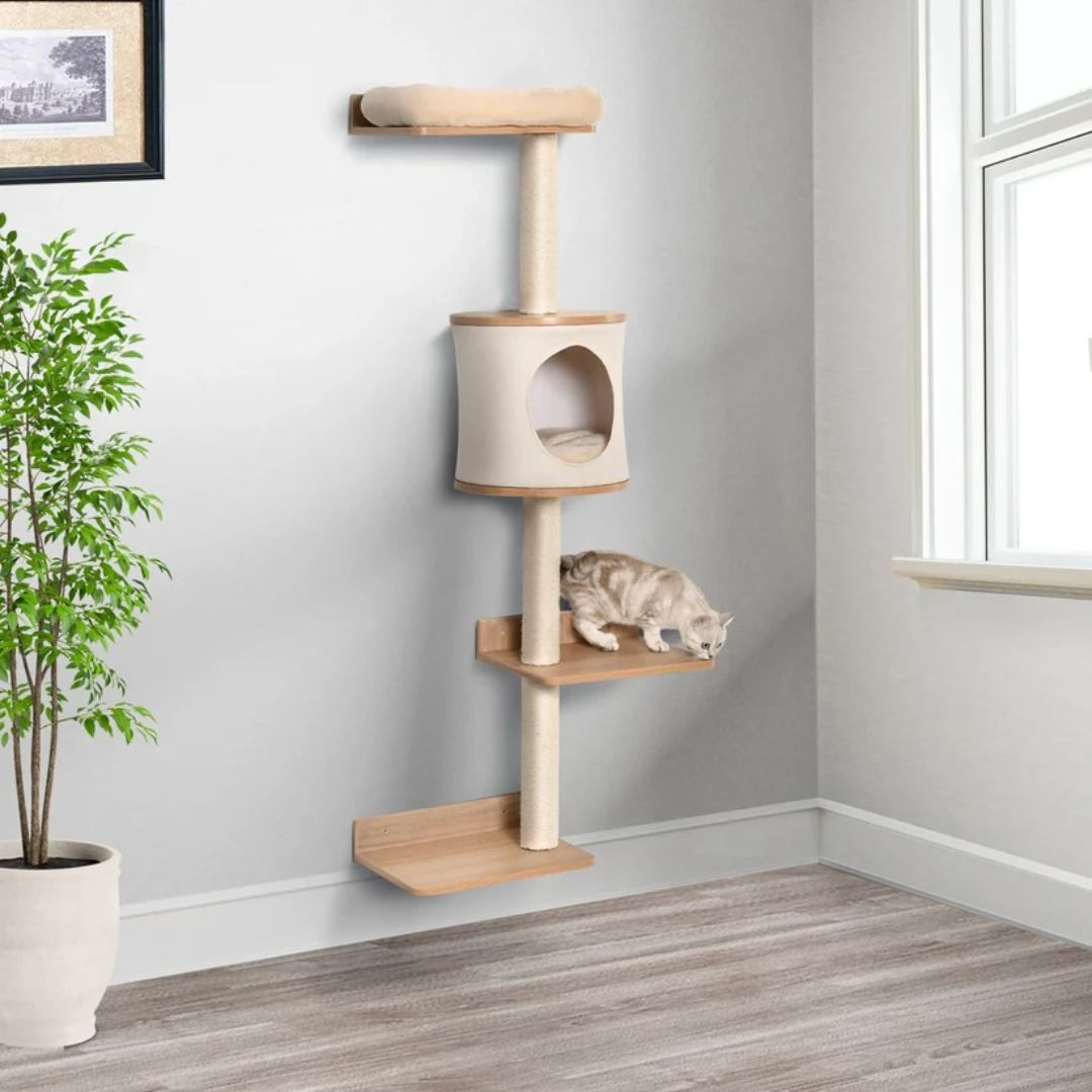 arbre à chat mural en bois fixé au mur coin de pièce 4 niveaux niche ronde griffoir sisal chat tigré sur plateforme bois