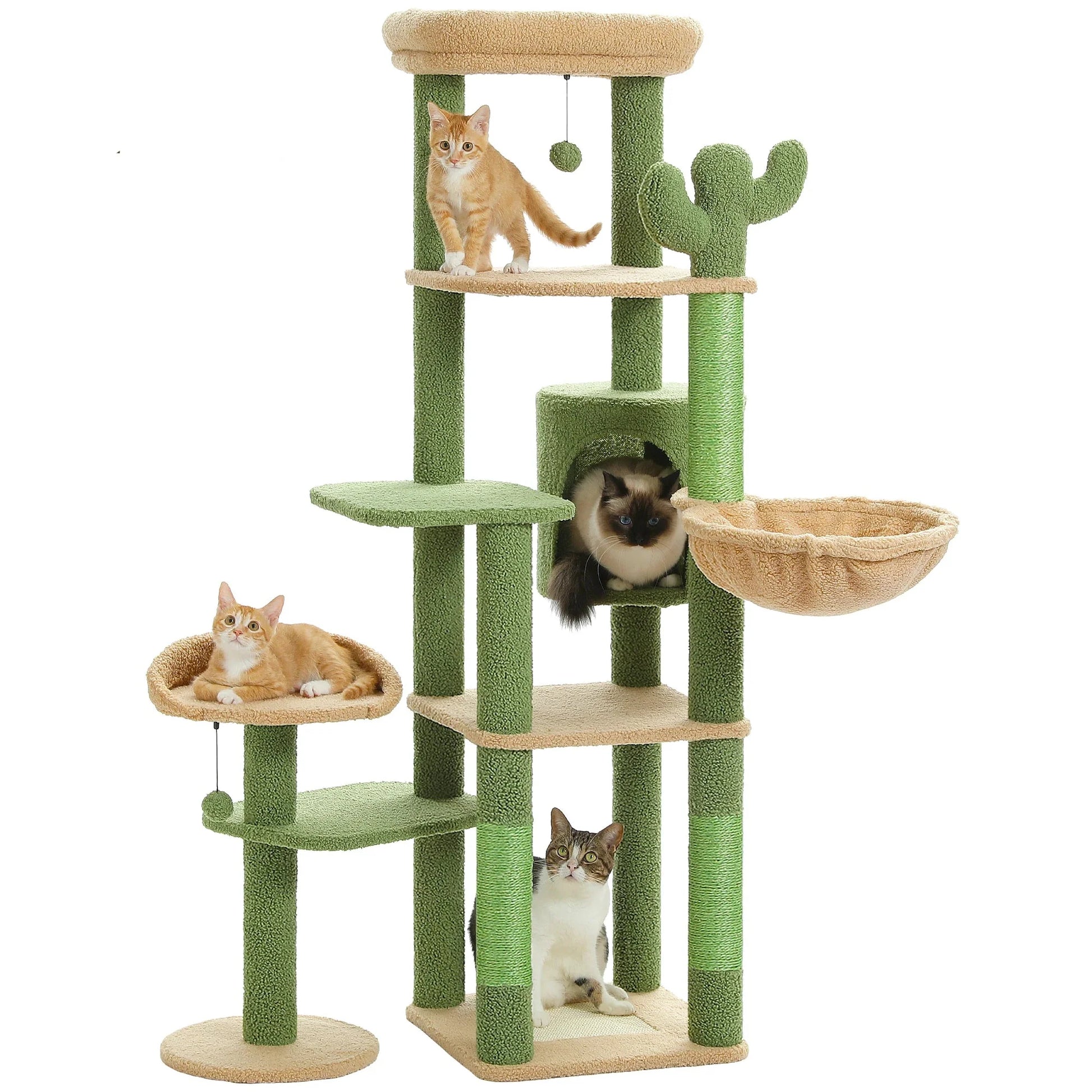 Arbre à chat cactus vert beige 150cm fond blanc, 4 chats Bengal Ragdoll Tabby, cabane arche, grande corbeille beige, plateforme latérale ronde, griffoir vert multi-niveaux