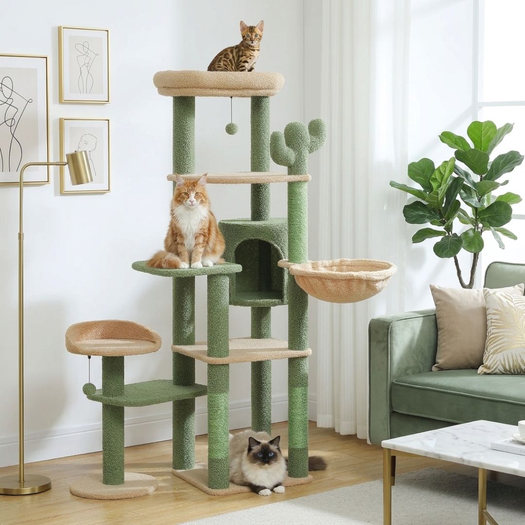 Arbre à chat cactus vert beige 150cm multi-niveaux, cabane arche, corbeille beige, plateforme latérale ronde, griffoir vert, pompon suspendu, Bengal Maine Coon Ragdoll salon moderne