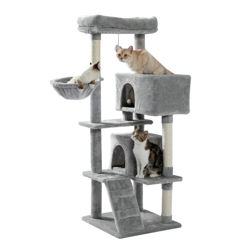 arbre à chat gris double niche hamac et rampe fond blanc avec chat crème Siamois et tabby griffoir sisal