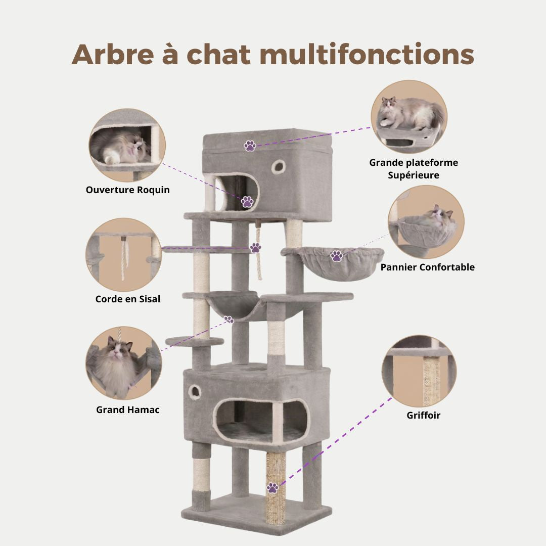 infographie arbre à chat multifonctions gris : grande plateforme supérieure, ouverture roquin, pannier confortable, grand hamac, griffoir sisal, corde sisal, Ragdoll