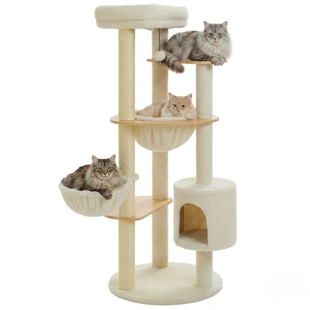 trois chats poils longs beige et gris arbre à chat scandinave double corbeille confortable cabane ronde plateforme bois