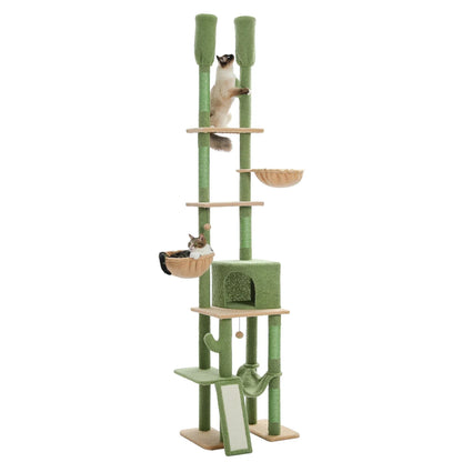 arbre à chat sol plafond vert design cactus original Ragdoll grimpant sur les poteaux griffoir