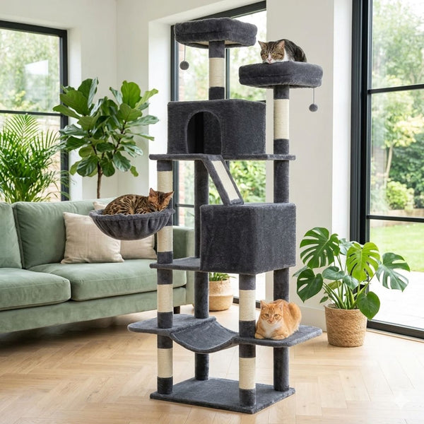 arbre à chat XXL gris foncé chat tigré perchoir chat Bengal corbeille chat roux plateforme griffoir sisal