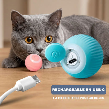 balle jouet chat rechargeable USB-C port de charge visible british shorthair gris autonomie 4h