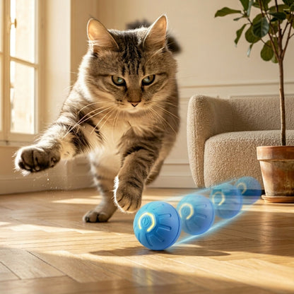 balle interactive pour chat rechargeable USB-C bleue chat tabby en mouvement salon moderne