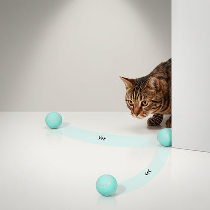 jouet balle menthe silicone trajectoire incurvée chat tabby en approche fond studio neutre