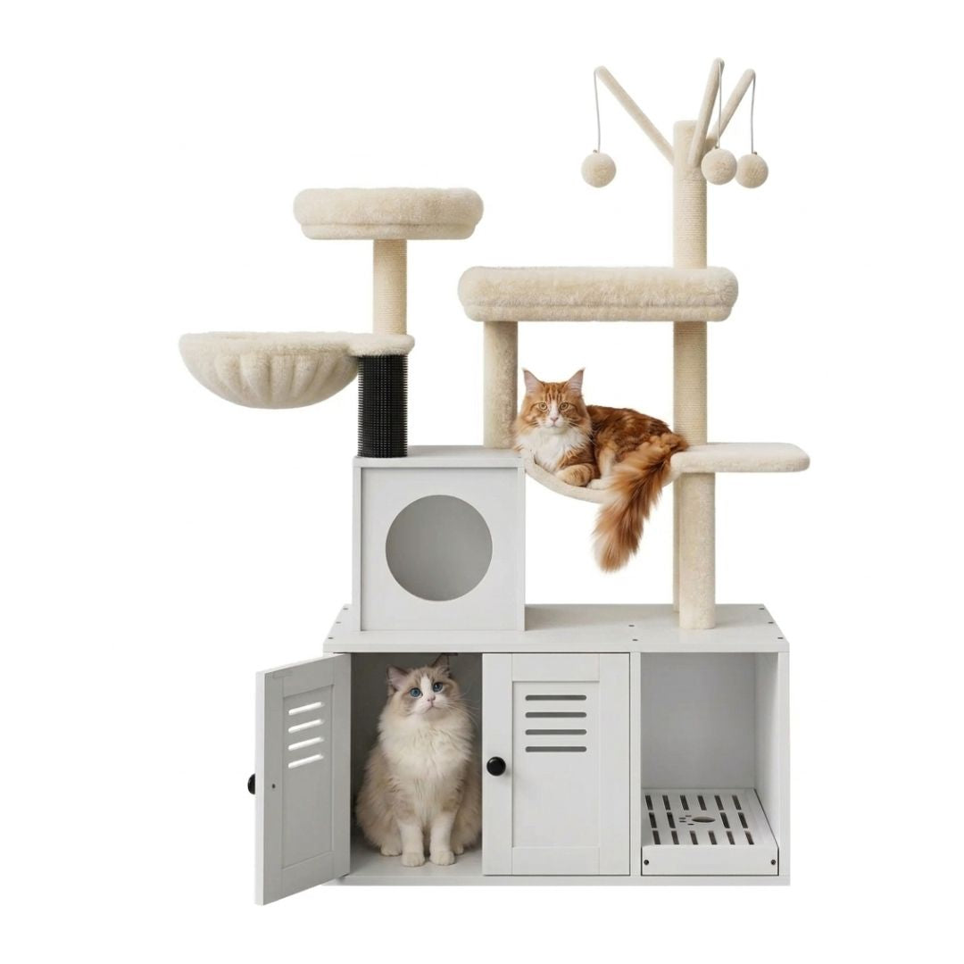 Arbre à chat cache-litière bois blanc portes ouvertes, Ragdoll dans niche, Maine Coon sur hamac, bac litière 47x38cm inclus